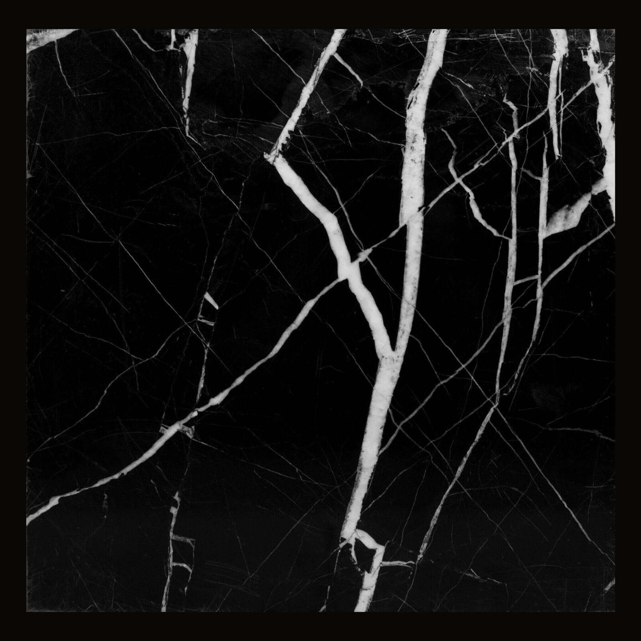 Nero Marquina