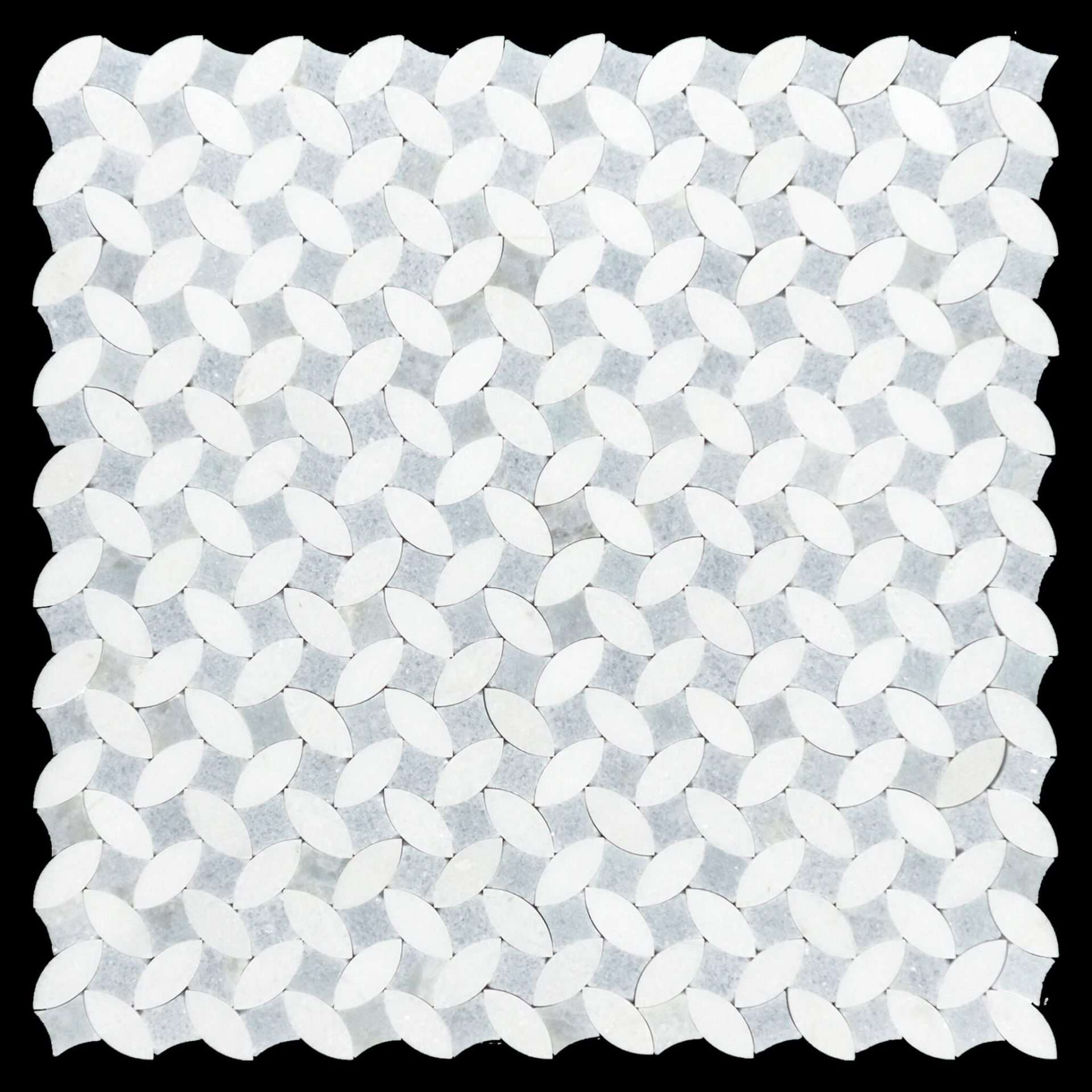 White Thassos and Blue Celeste Honed Marble Mosaic