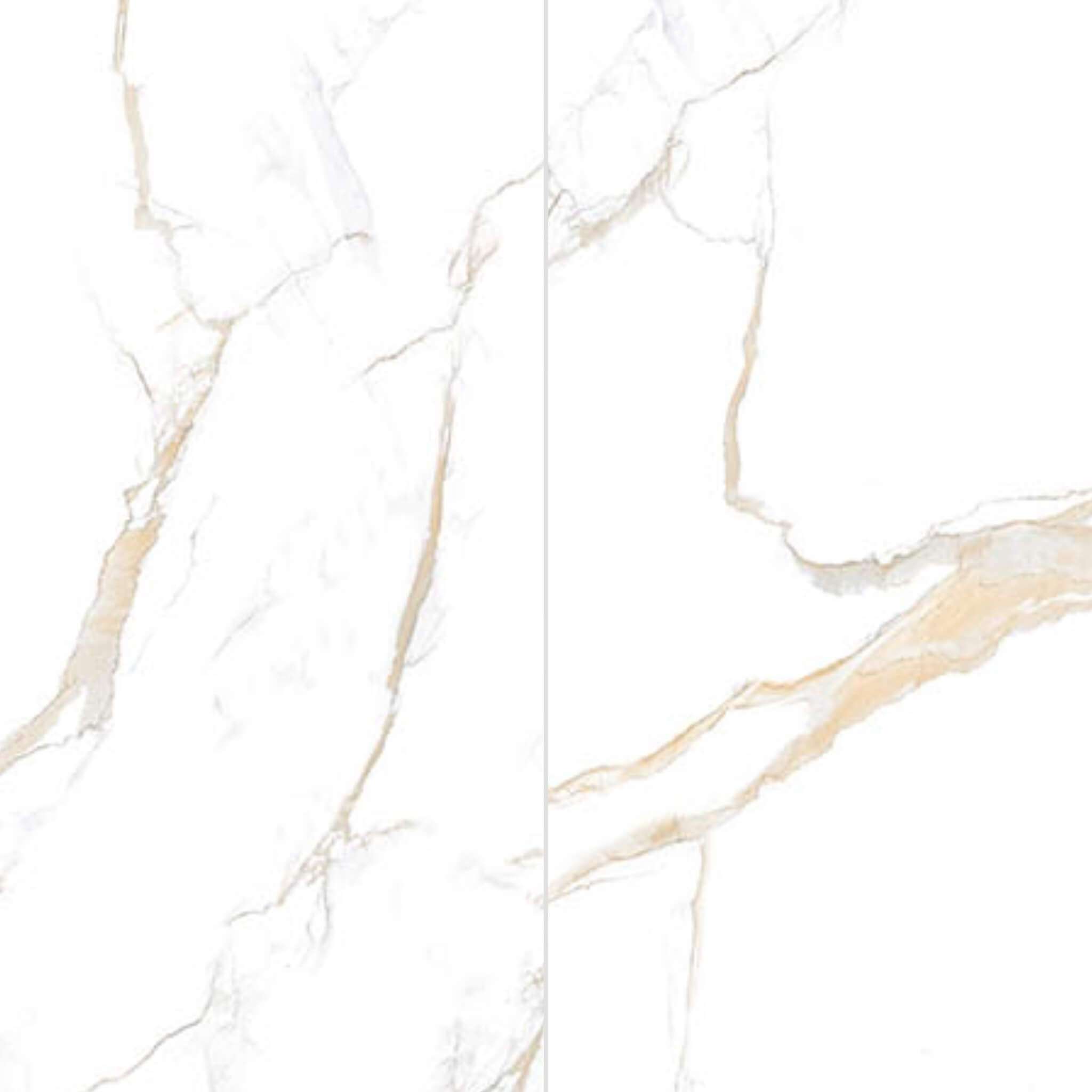 calacatta gold porcelain