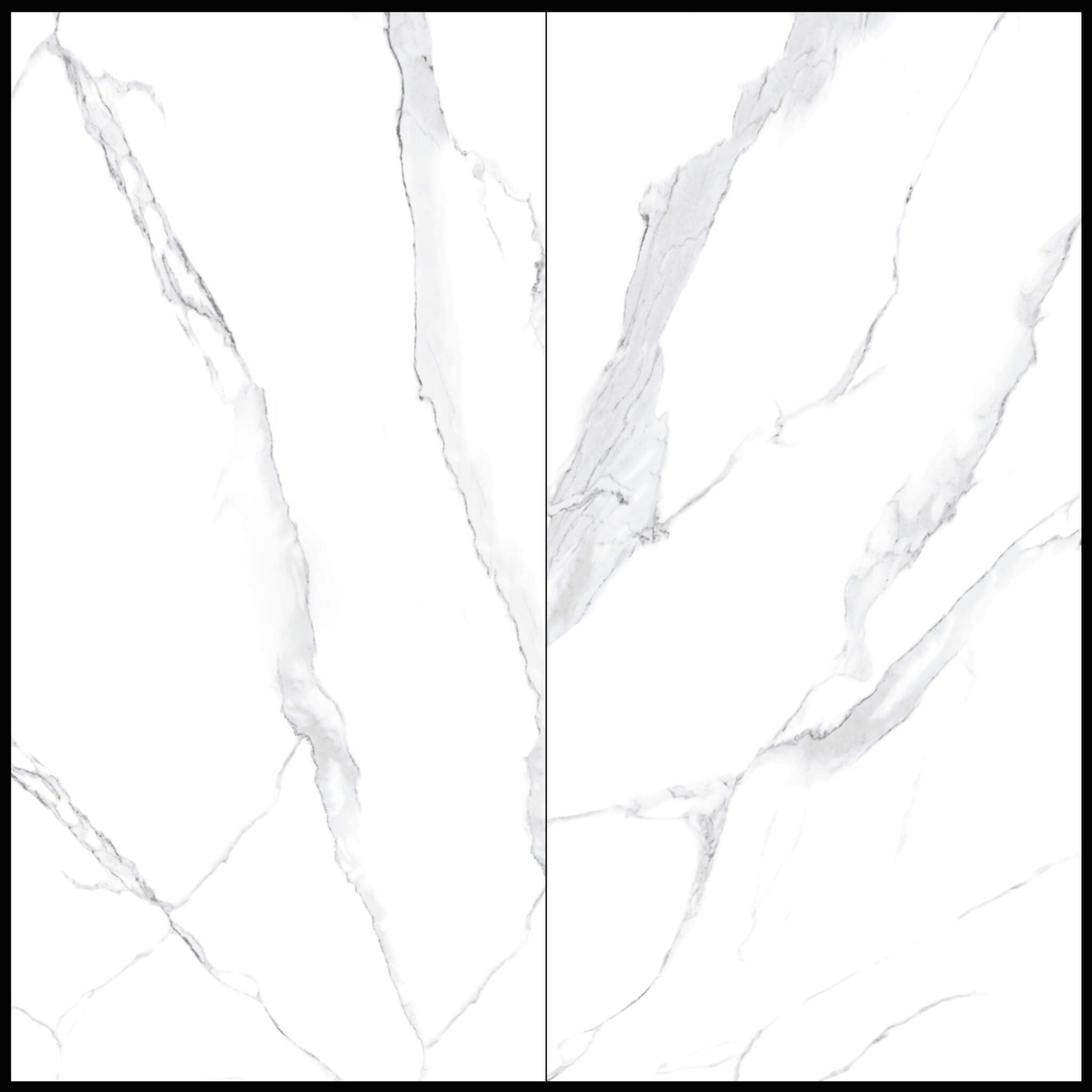 calacatta white porcelain.