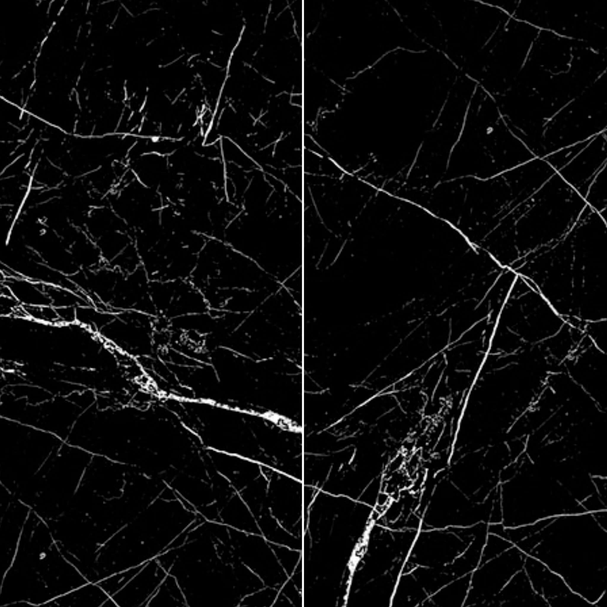 pietra black porcelain pietra black porcelain