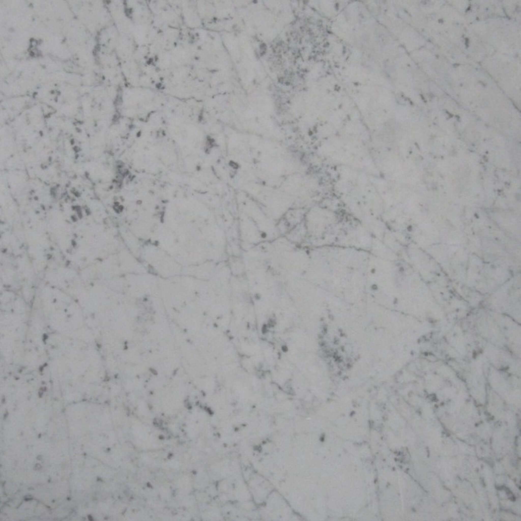 white carrara large