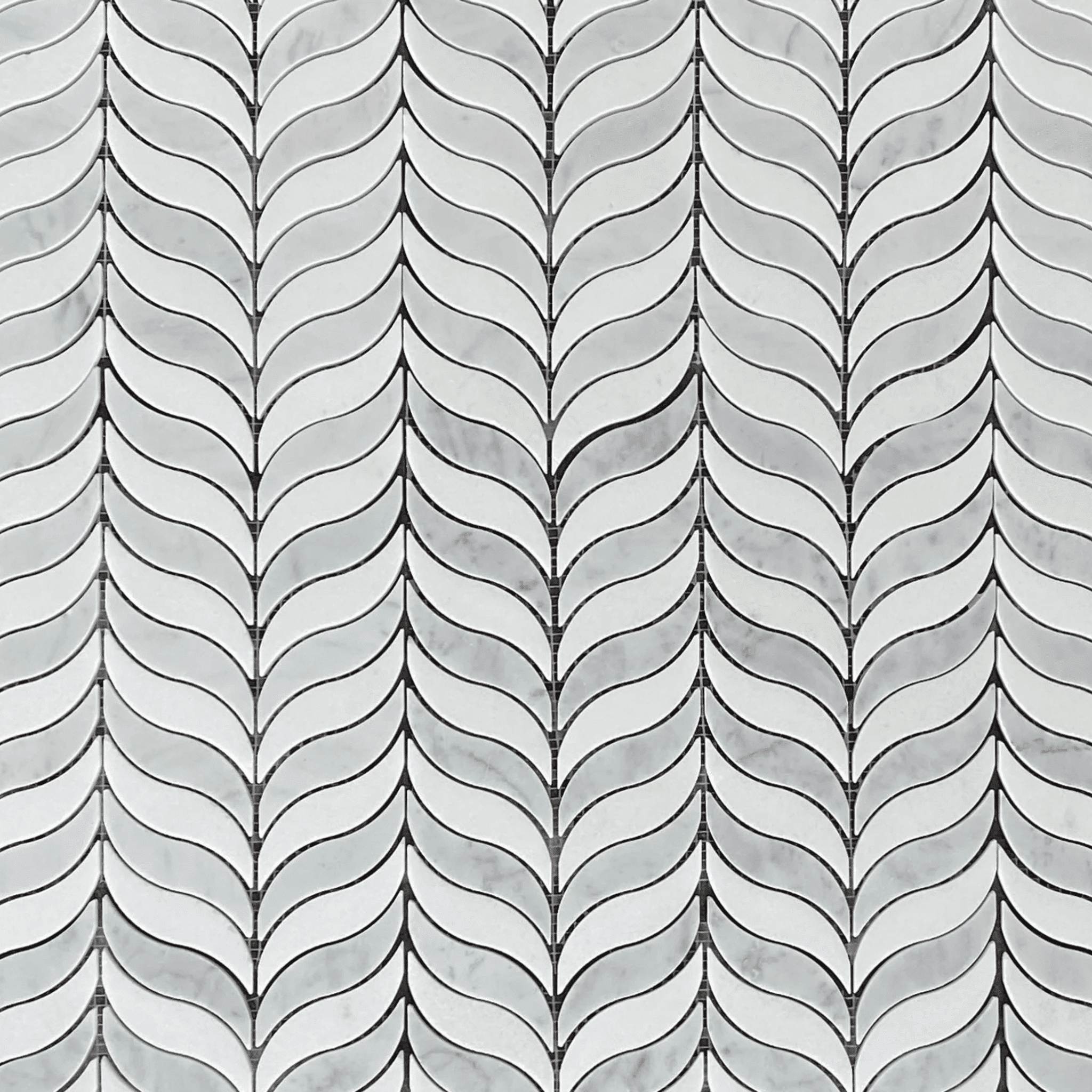feather thassos carrara wj