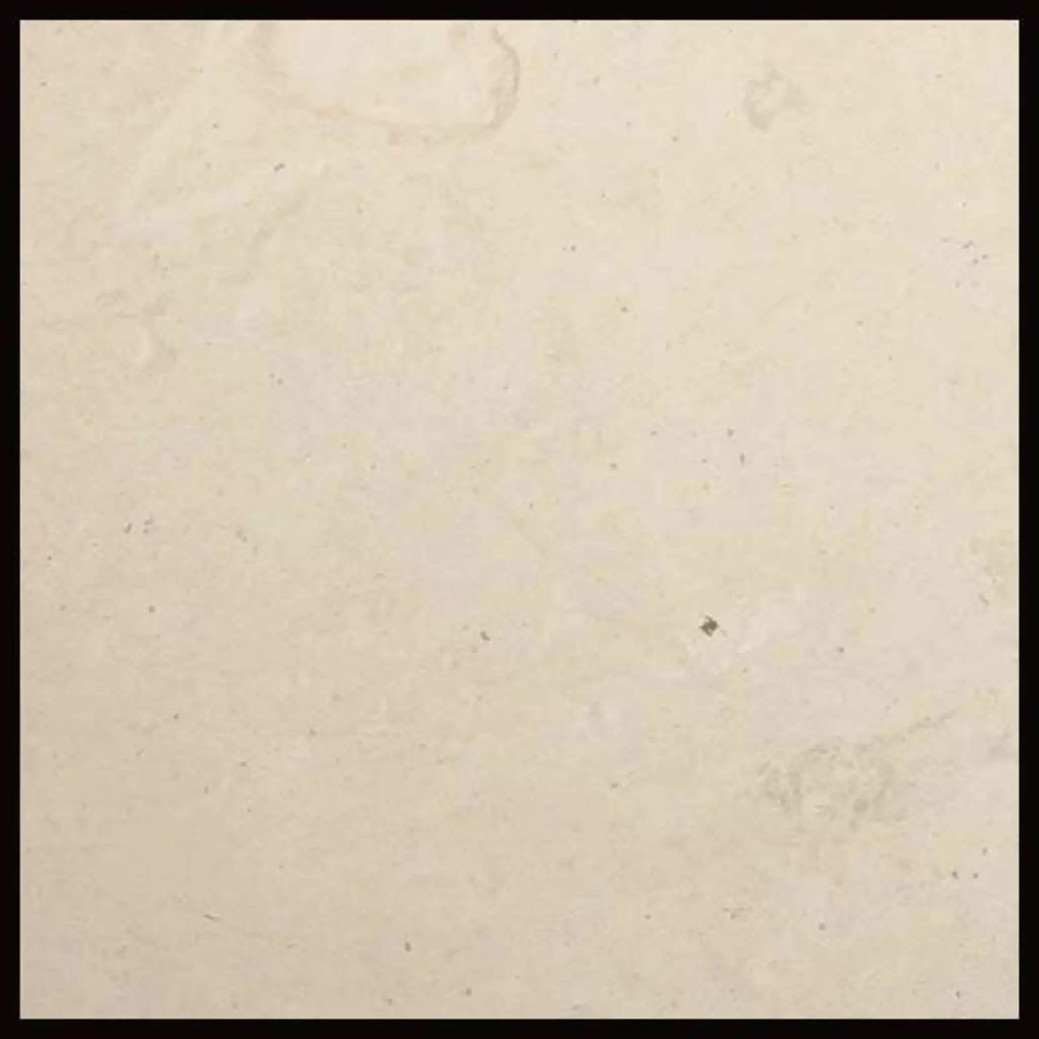 Thala Beige Limestone Tiles Mmg Stone And Tile