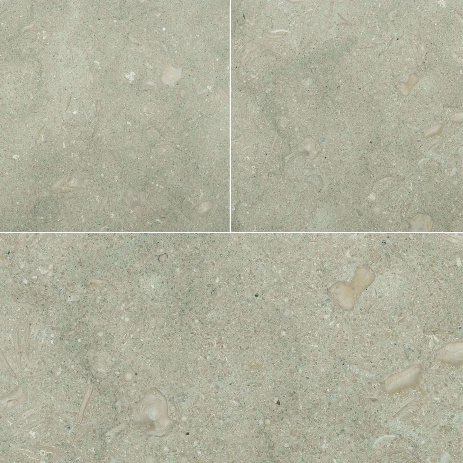 seagrass limestone tile seagrass limestone tile